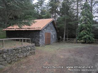 se Zampini24-11-2013 17-32-17